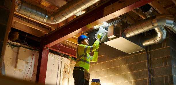 Best Air Duct Sanitizing Services  in Green Oaks, IL